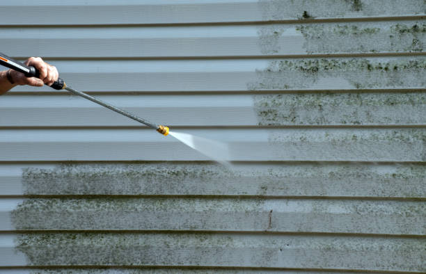 Best Mold Damage Repair  in Gillett, WI
