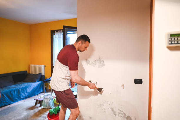 Best Certified Mold Removal  in Gillett, WI